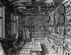 Frontispiece of Ole Worm